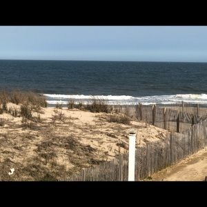 Meet your Posher, Holly